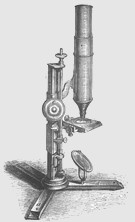 Austrian microscopes