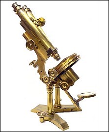J. & W. Grunow #594 Binocular microscope c. 1874