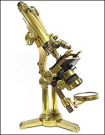 Binocular  microscope: Smith, Beck & Beck, 31  Cornhill, London, #4375. The "Large Best" model 