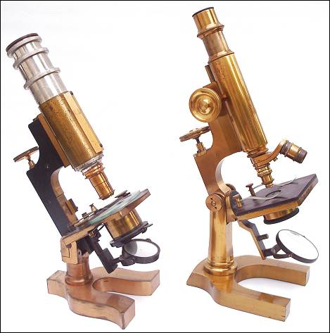 The image “http://www.antique-microscopes.com/mics/2shrauers.jpg” cannot be displayed, because it contains errors.