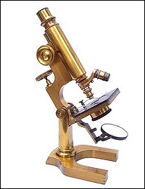 Schrauer microscope continental