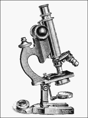 Beck London Handle microscope