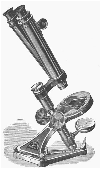 R. & J. Beck, London,The Popular Model Binocular Microscope.