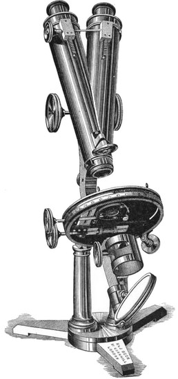 Beck The Large Best model binocular microscope