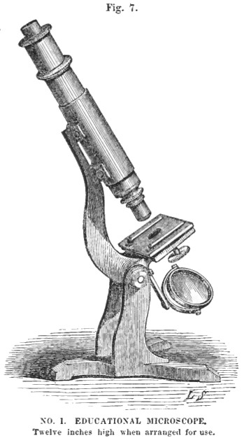 Grunow Educational microscope