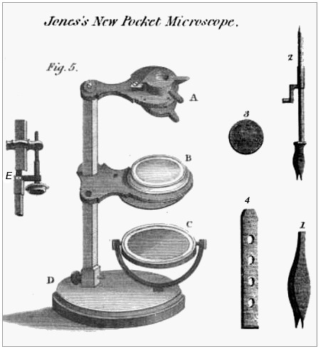 Jones botanical microscope engraving 