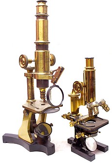 Gebr Mittelstrafs, Magdeburg microscope next to a Zeiss microscope