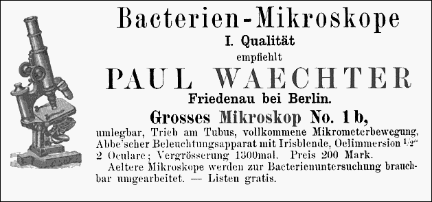 Paul Waechter Bacterien Mikroskop Grosses_No. 1b.gif