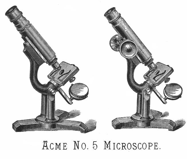 Queen Acme No5 microscope