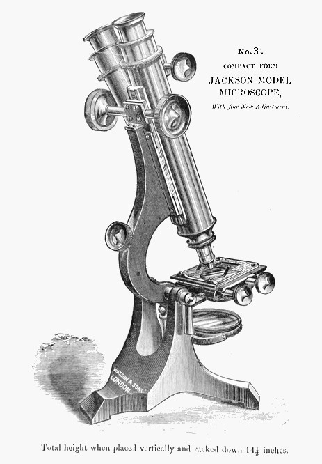 Watson Jackson No6 model-1884.jpg