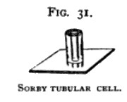 Sorby-Beck_microspectroscope cell