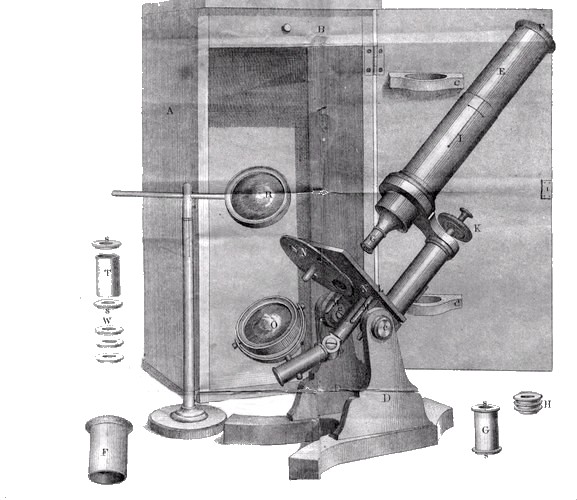  g. langgruth jr., optician, chicago illustration accompanying the microscope