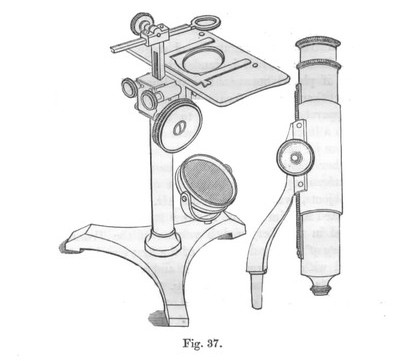 A. Ross dissecting microscope