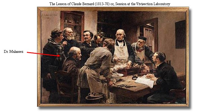 The Lesson of Claude Bernard (1813-78) - Session at the Vivisection Laboratory, 1889
