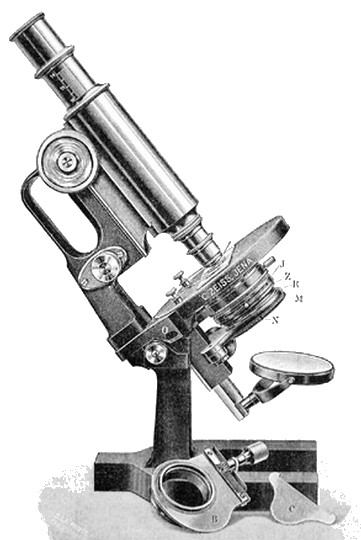 Zeiss IIIE- jug handle microscope