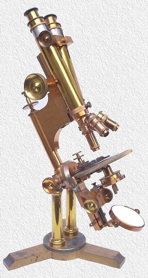 The  Professional  model with binocular tubes made  after  1883